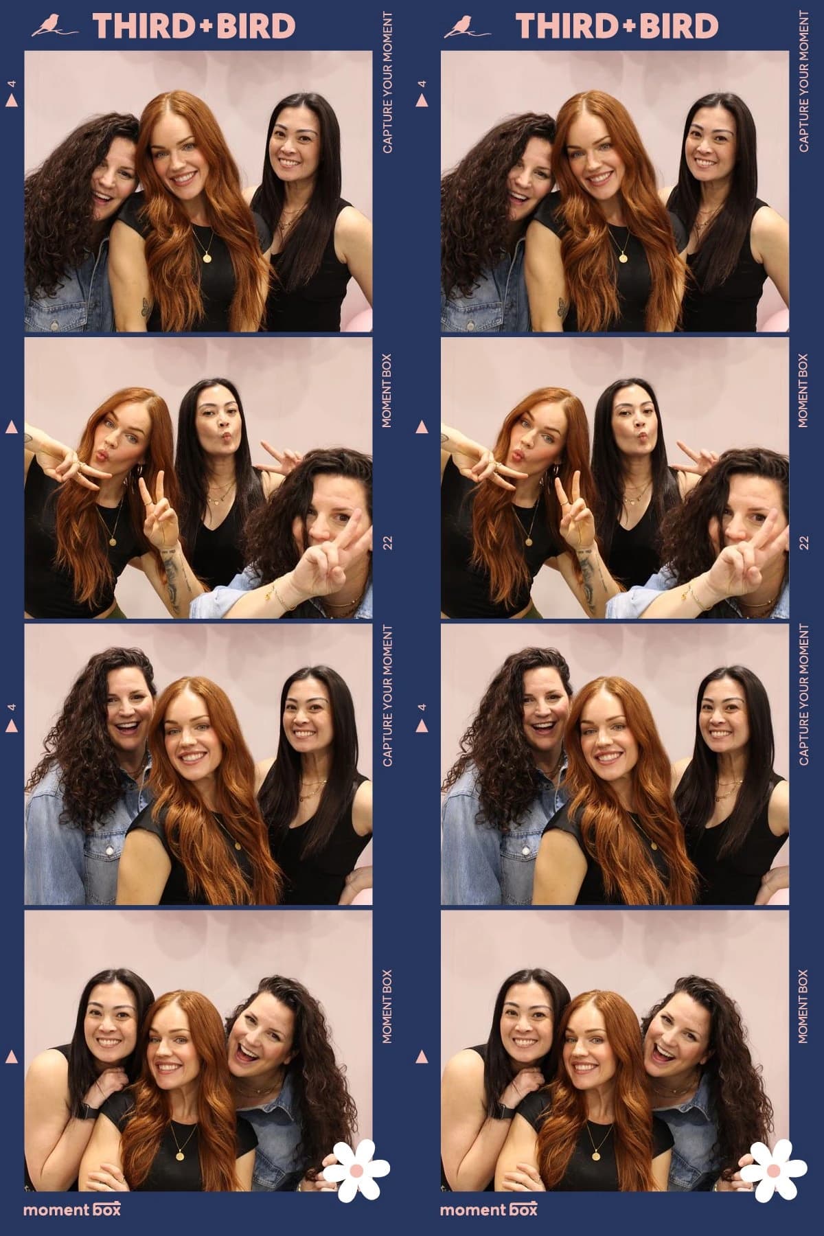 Third Bird Alternative